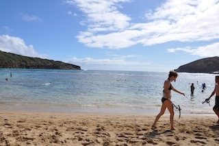 blog_import_53bf6262e8556