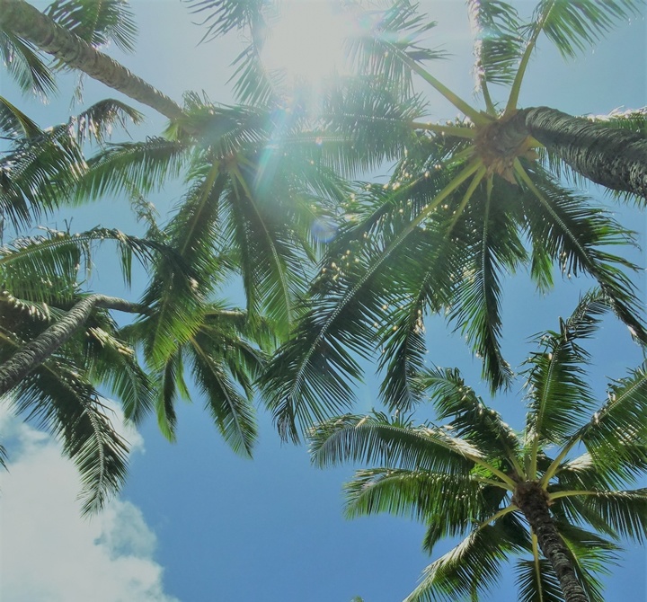 ハワイ日差し